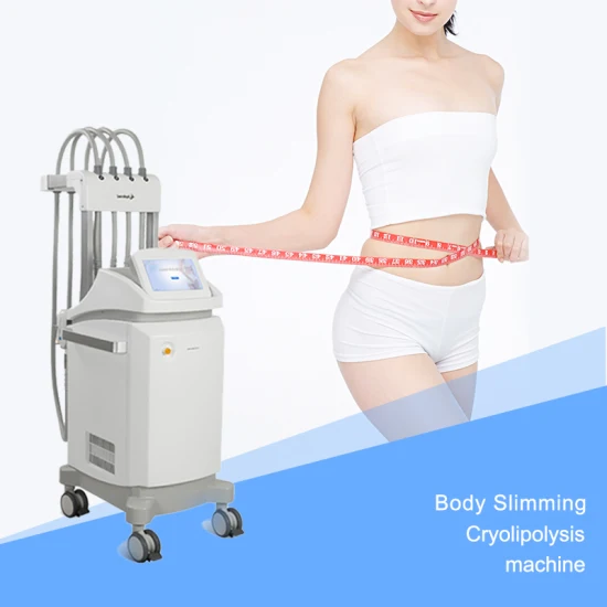 Apolomed Beauty 12-Zoll-True-Color-Touchscreen-Doppel-Tec-Kühlsystem-Kryotherapiegerät